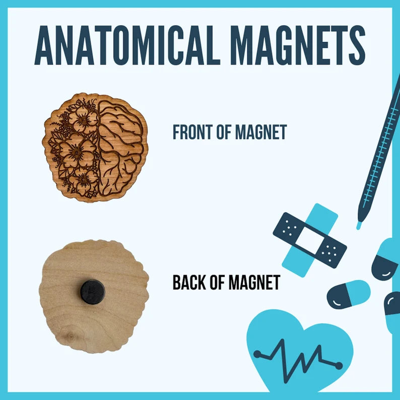 Wooden Magnet: Floral Organs
