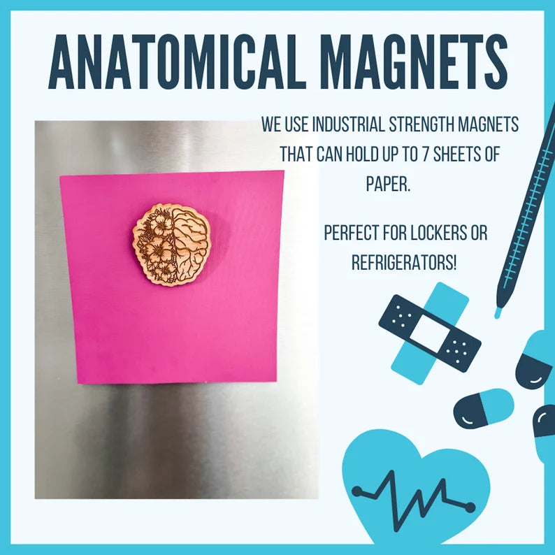 Wooden Magnet: Floral Organs