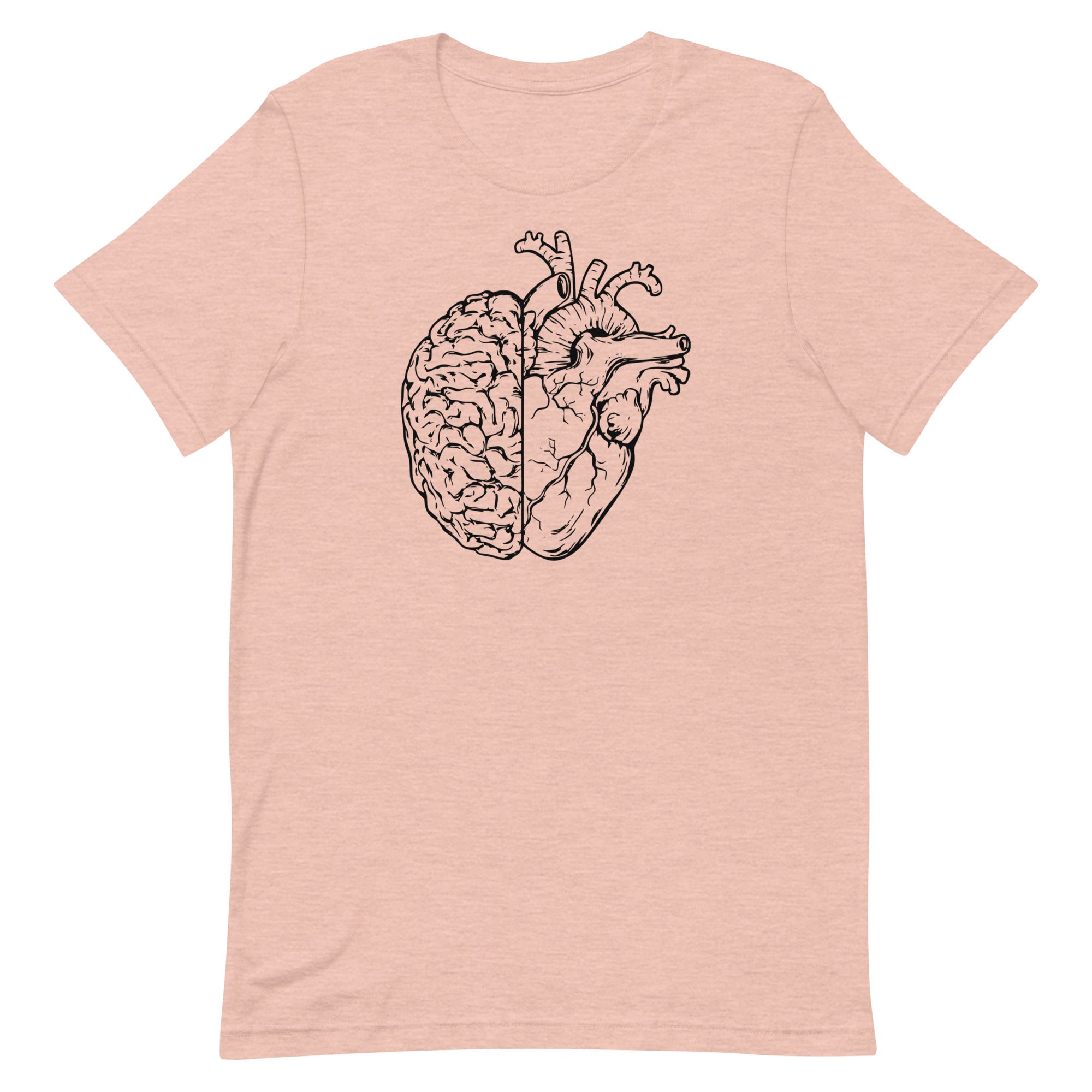 Heart & Brain