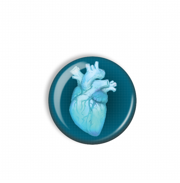 A blue heart-shaped object with a detailed illustration of a human heart inside it.