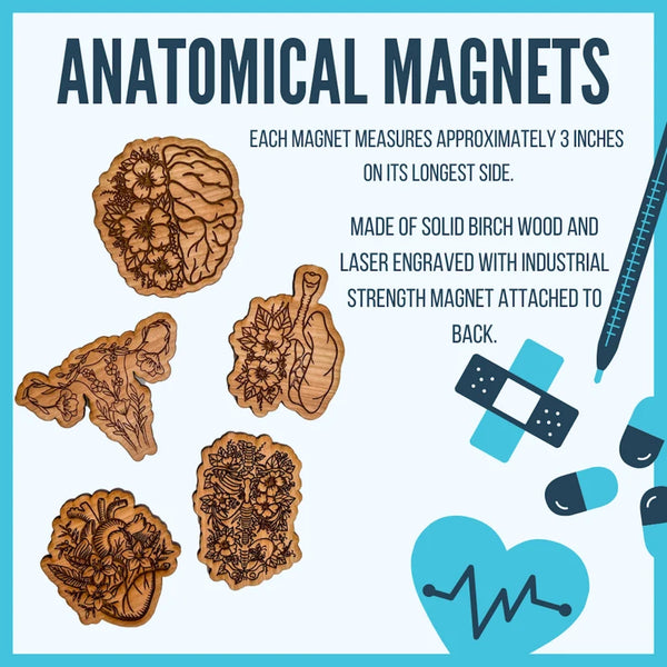 Wooden Magnet: Floral Organs