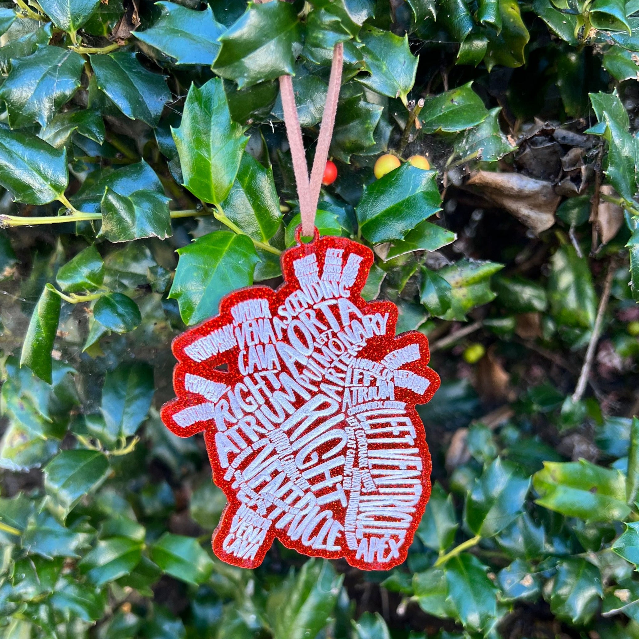 Ornament: Anatomical Organs - Glitter Acrylic Engraved